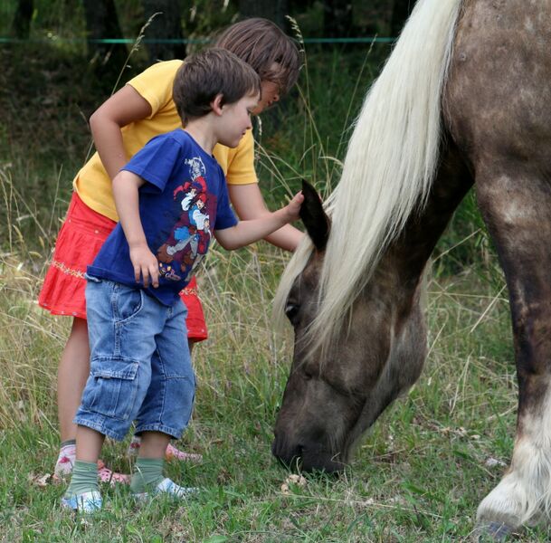 Enfants et cheval