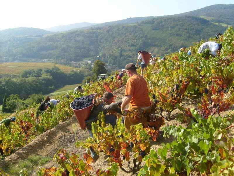 Domaine Daniel Bulliat