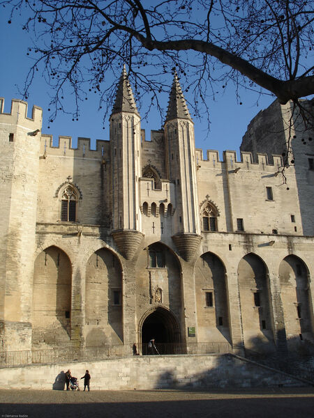 Palais des papes