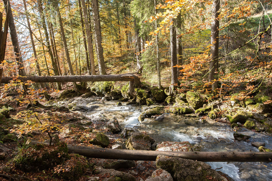 Du Lac de Montriond à la Cascade d'Ardent