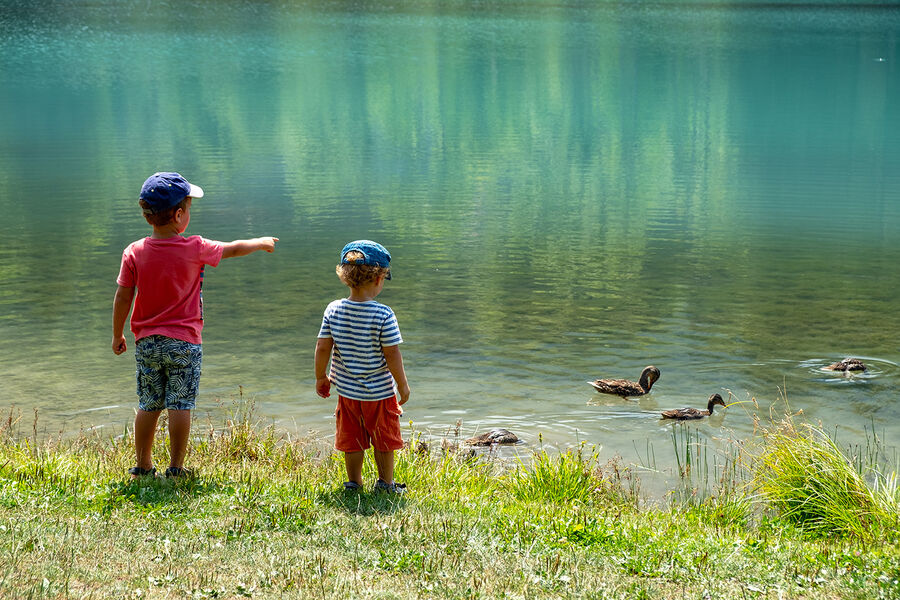 Enfants et canards au lac