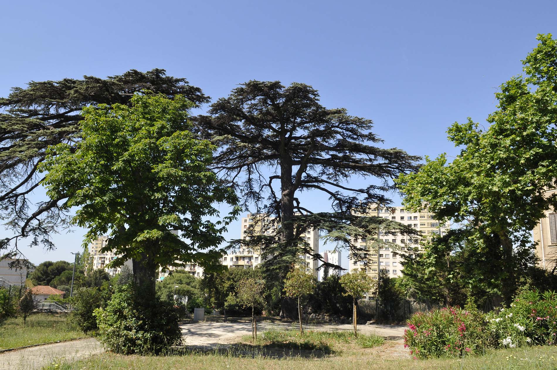 Parc Varella - Ville de Marseille