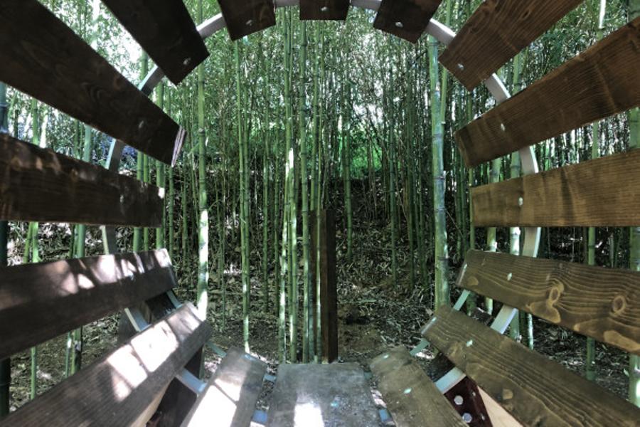 Escape game Bamboo Adventure