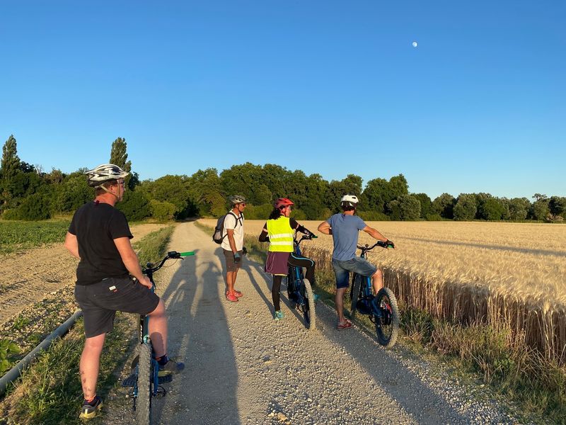 Dromeasy trottinettes tout terrain