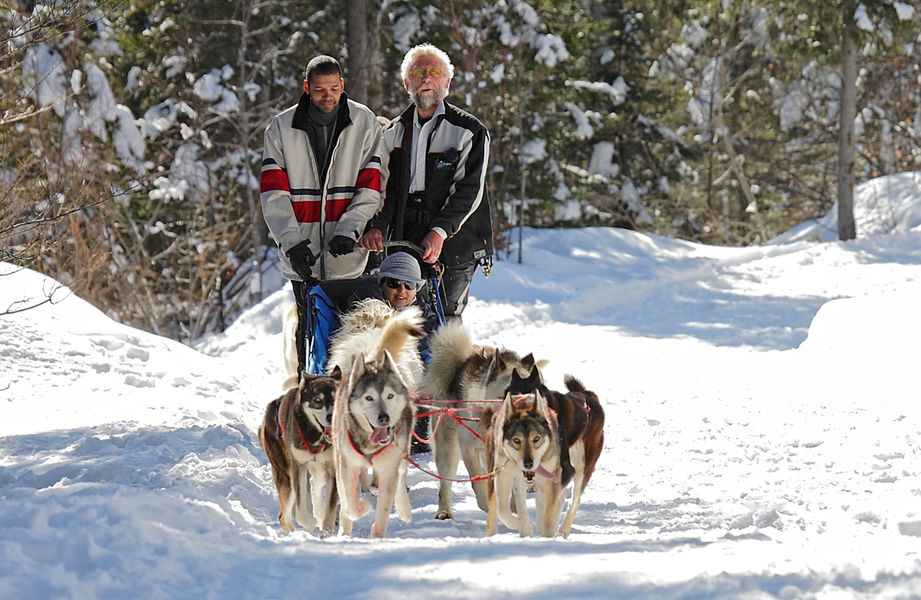 La Ferme des Chiens de Traineaux des Aillons-Margériaz