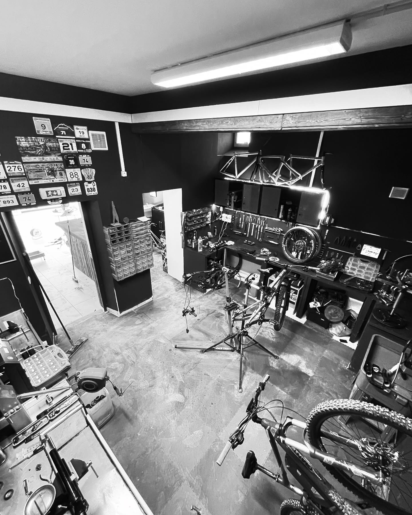 TSL cycles - photo 2