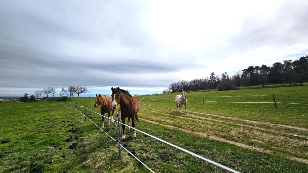 Séjour vélo en Ardèche Verte - Au fil des routes secrètes_Saint-Jeure-d'Ay