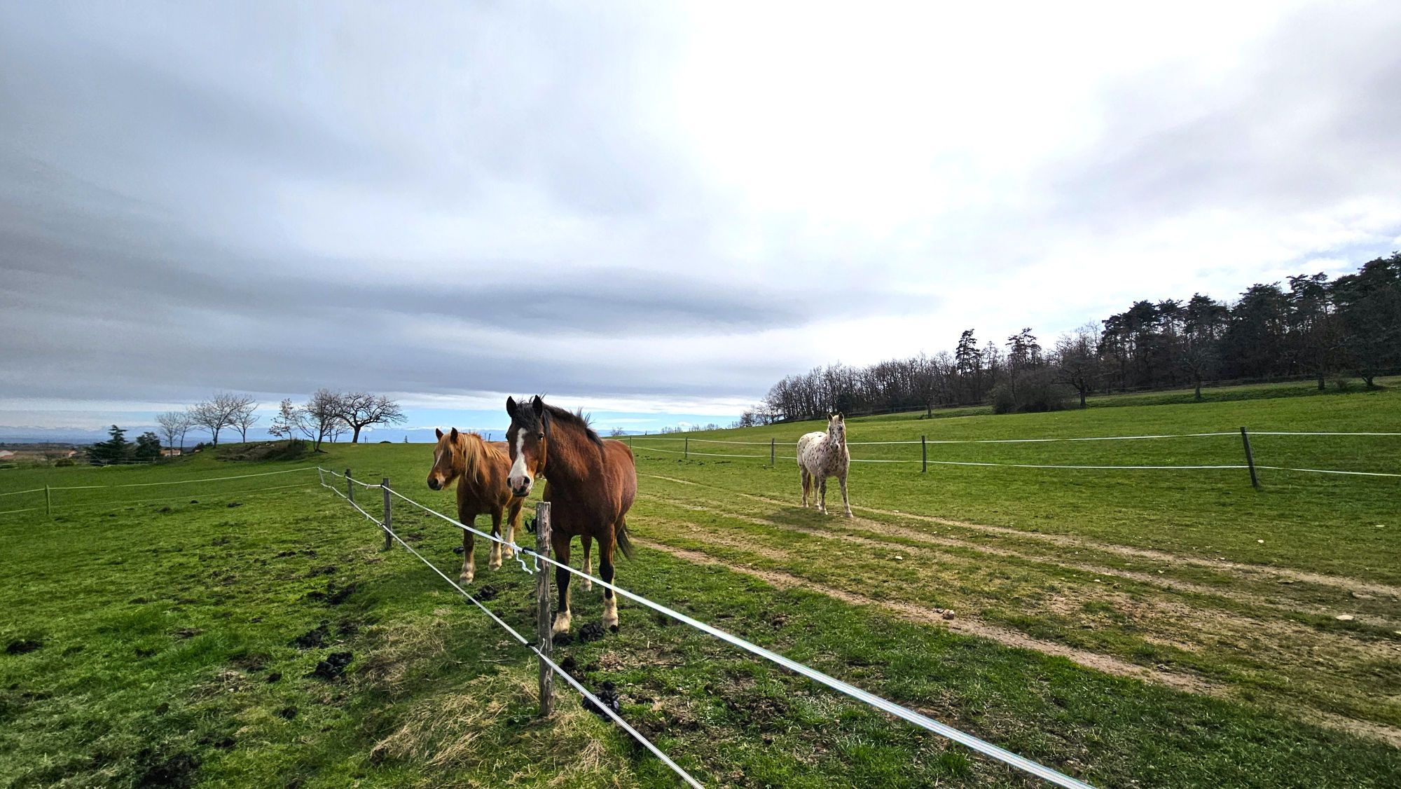 Séjour vélo en Ardèche Verte - Au fil des routes secrètes_Saint-Jeure-d'Ay