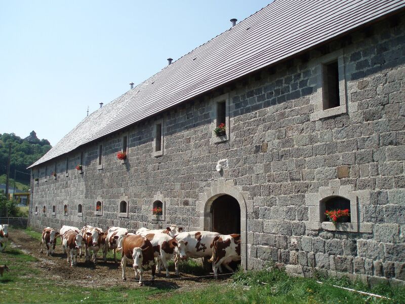 Visit a cheese farm and meet the animals - Grange de la Haute Vallée