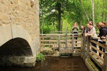 Visites guidées du Moulin de Vignal_Apinac