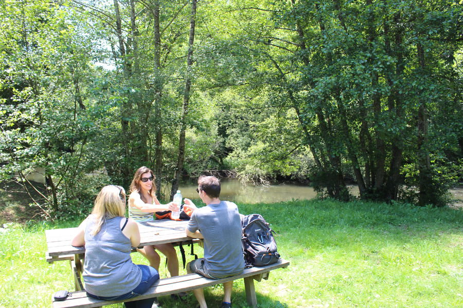 Aire de pique-nique - Chartreuse-Port-Sainte-Marie