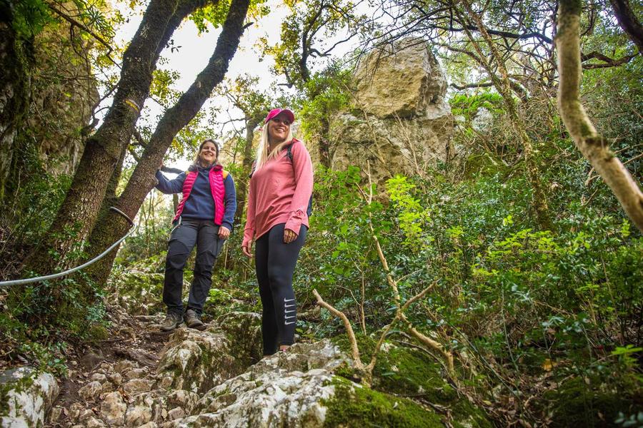 La Baume de Ronze_Orgnac-l'Aven
