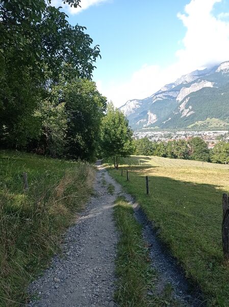 sentier pédestre : balade au Bois de Fessy