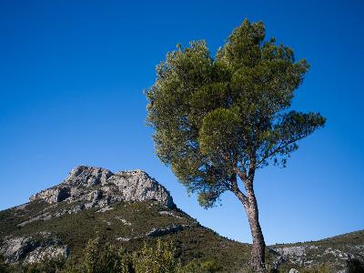Aubagne : Le piemont du Garlaban