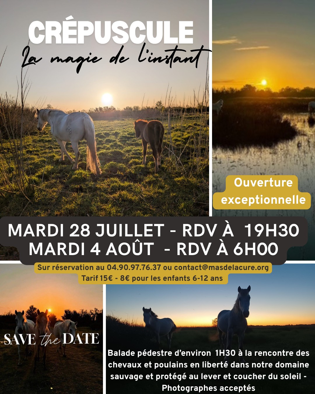 Sorties Nature Immersives Crépusculaires