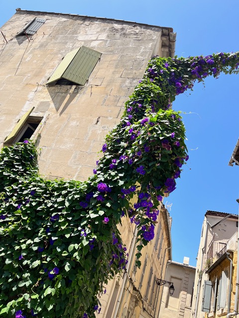 Le Donjon de la Roquette