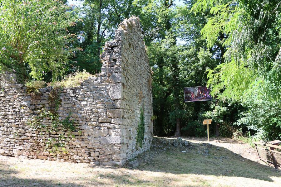 Exposition : Jacominus Gainsborough de Rebecca Dautremer s’installe en résidence dans la cité de Quirieu_Bouvesse-Quirieu