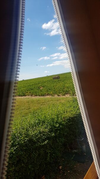 Camping La Grappe Fleurie