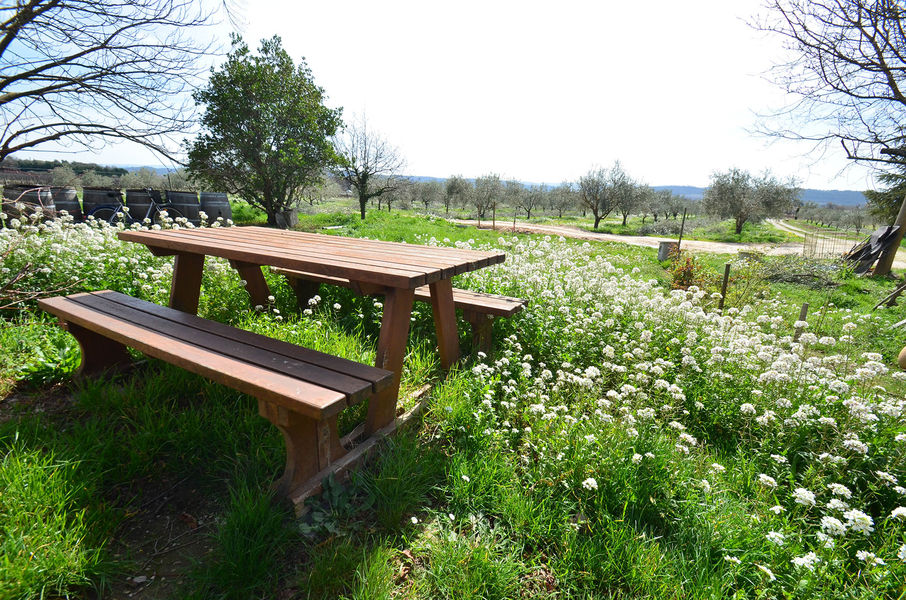 Domaine Les vadons Cucuron