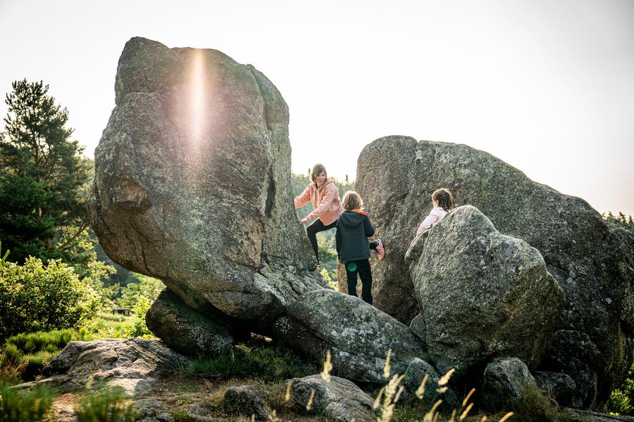 Sentier d'interprétation de la Tortue - boucle de 700m_Bourg-Argental