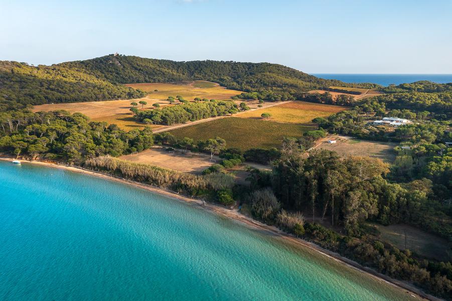 Domaine de la Courtade plage