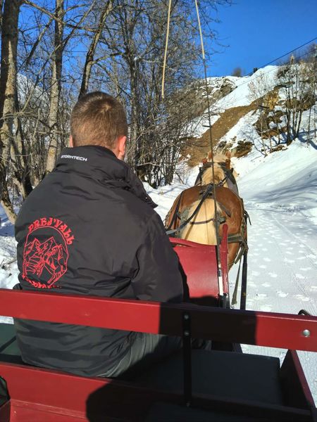 Cheval à traîneau à Valloire