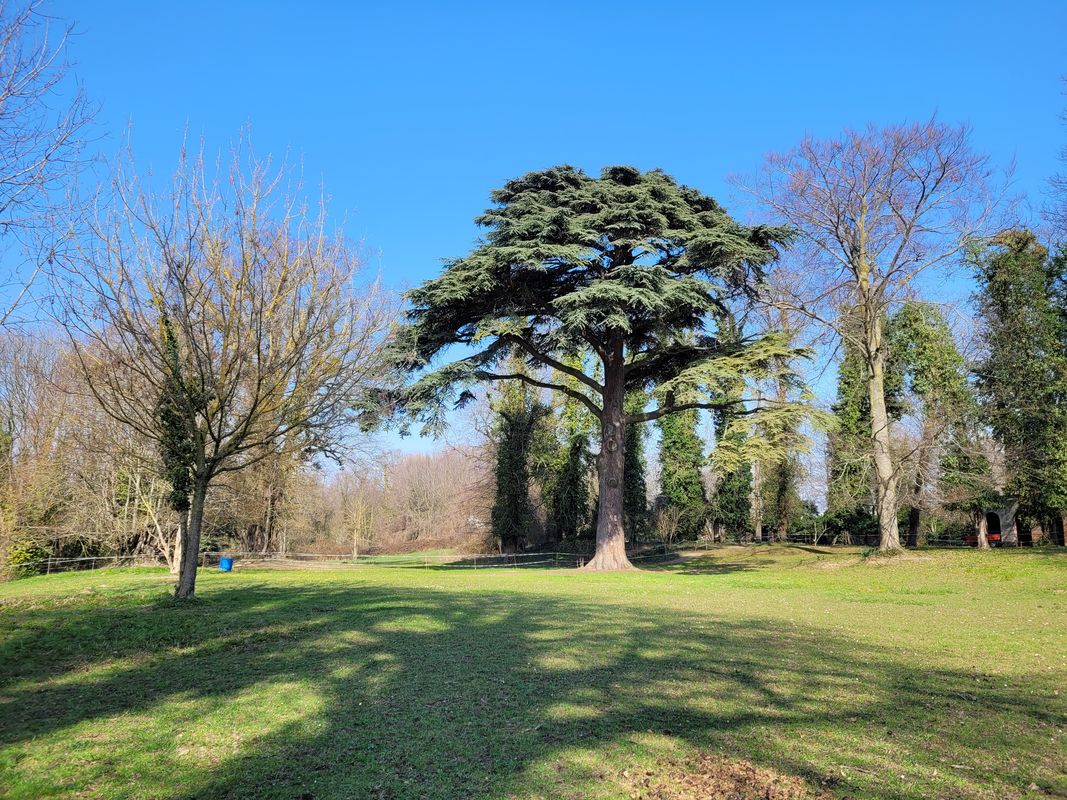 Parc Montjean