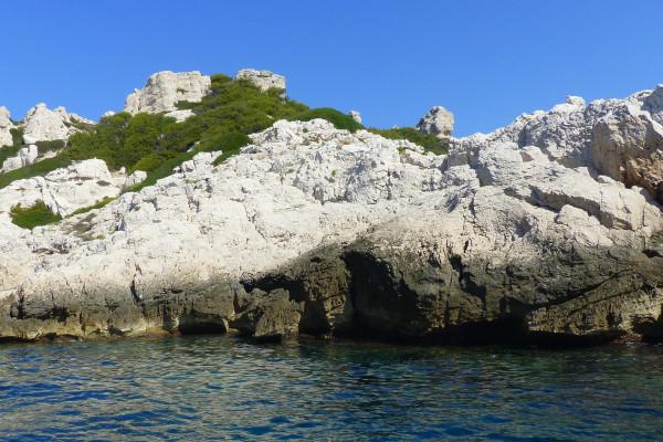 Circuit 2 h découverte de Marseille par la mer