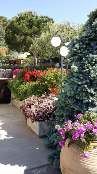 Le Mas de la Sirole-Fleurs-Colomars-Gîtes de France des Alpes-Maritimes