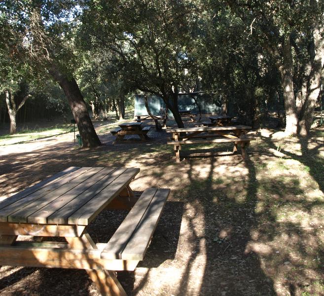 Aire de pique-nique au Jardin Zoologique Tropical à La Londe les Maures