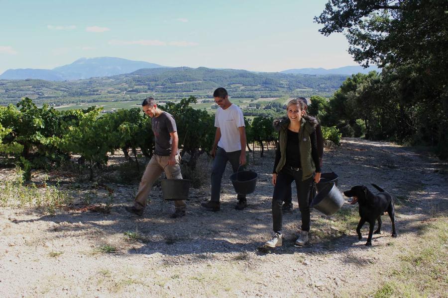 domaine vallot