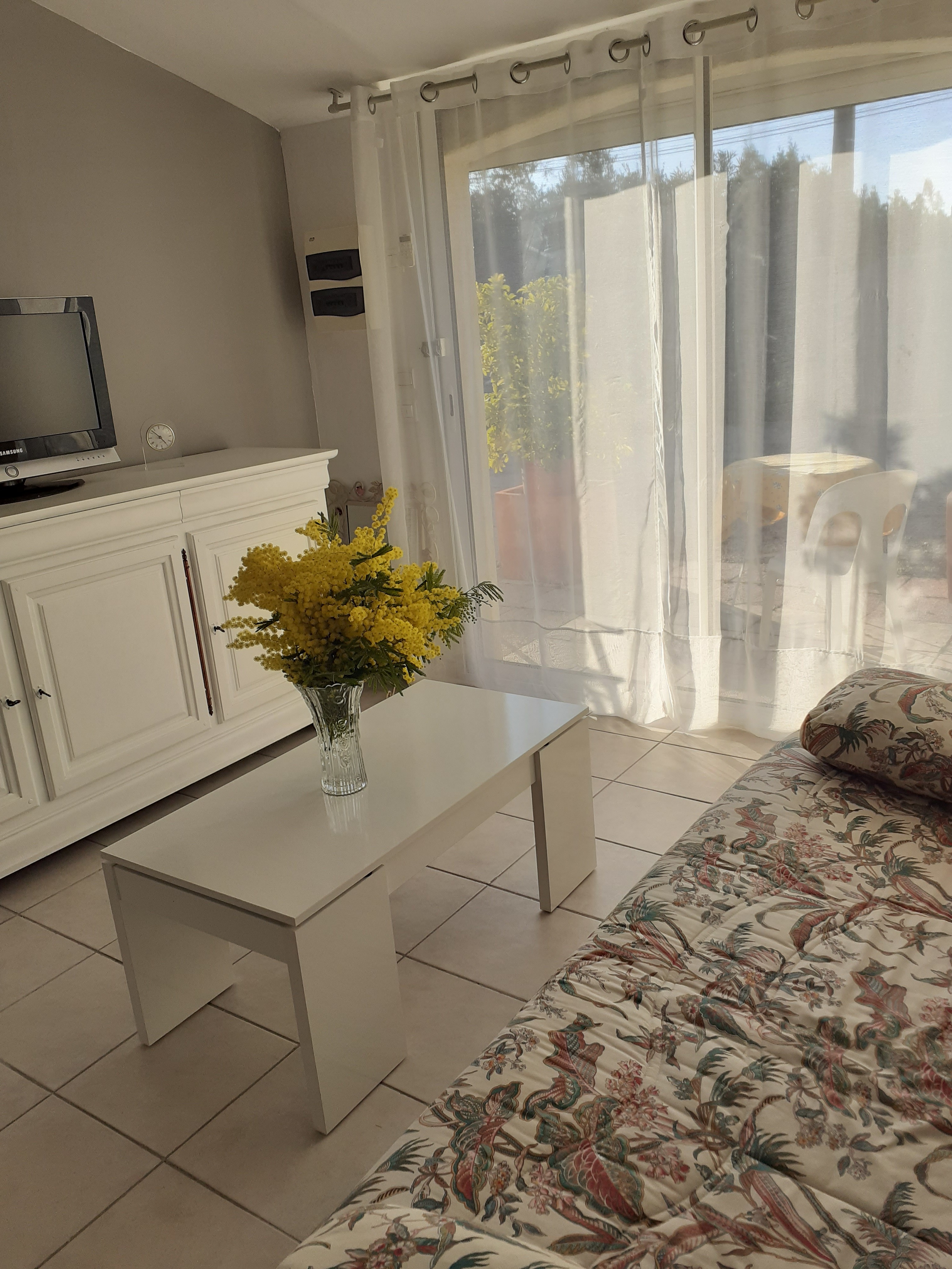 Les Olivades, Arles - photo 13