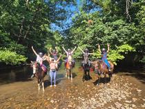 Activités équestres - Equit'Astrée_Saint-Étienne-le-Molard