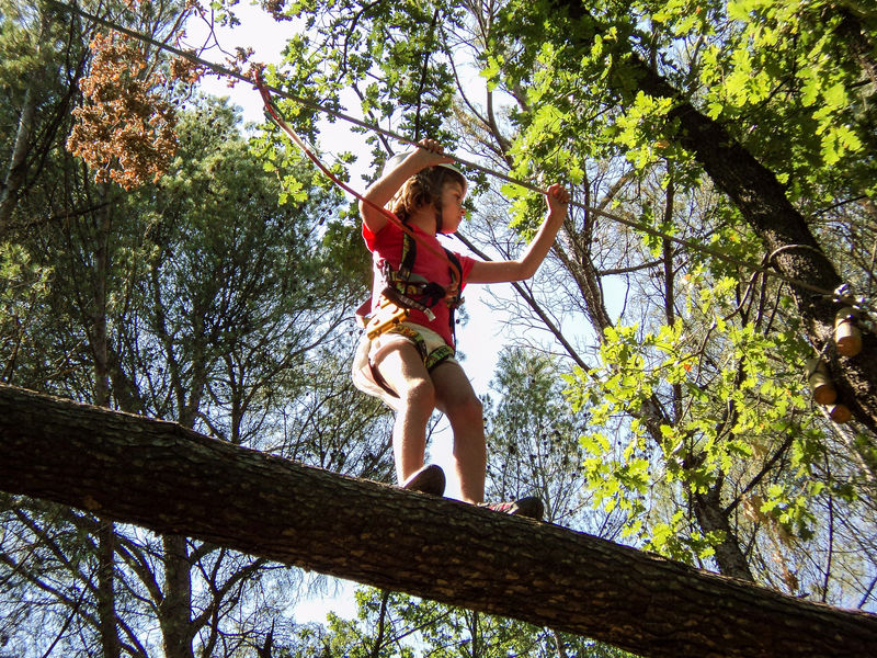 Tree-top challenge course with Joncas Aventure