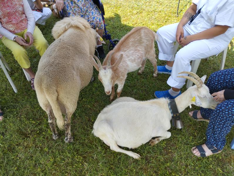 Ferme pédagogique La Bicoque