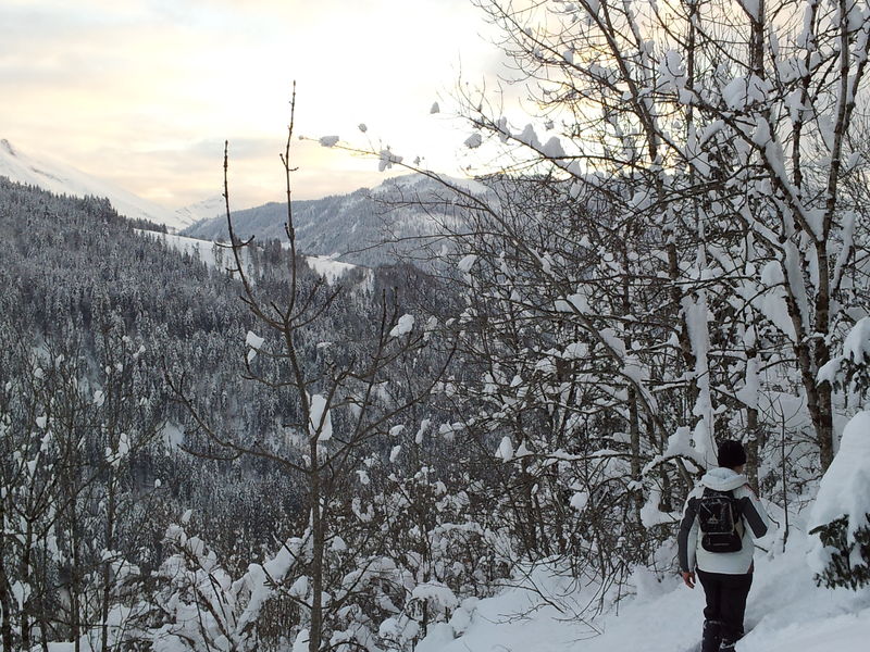 Sentiers raquettes au Grand-Bornand 27