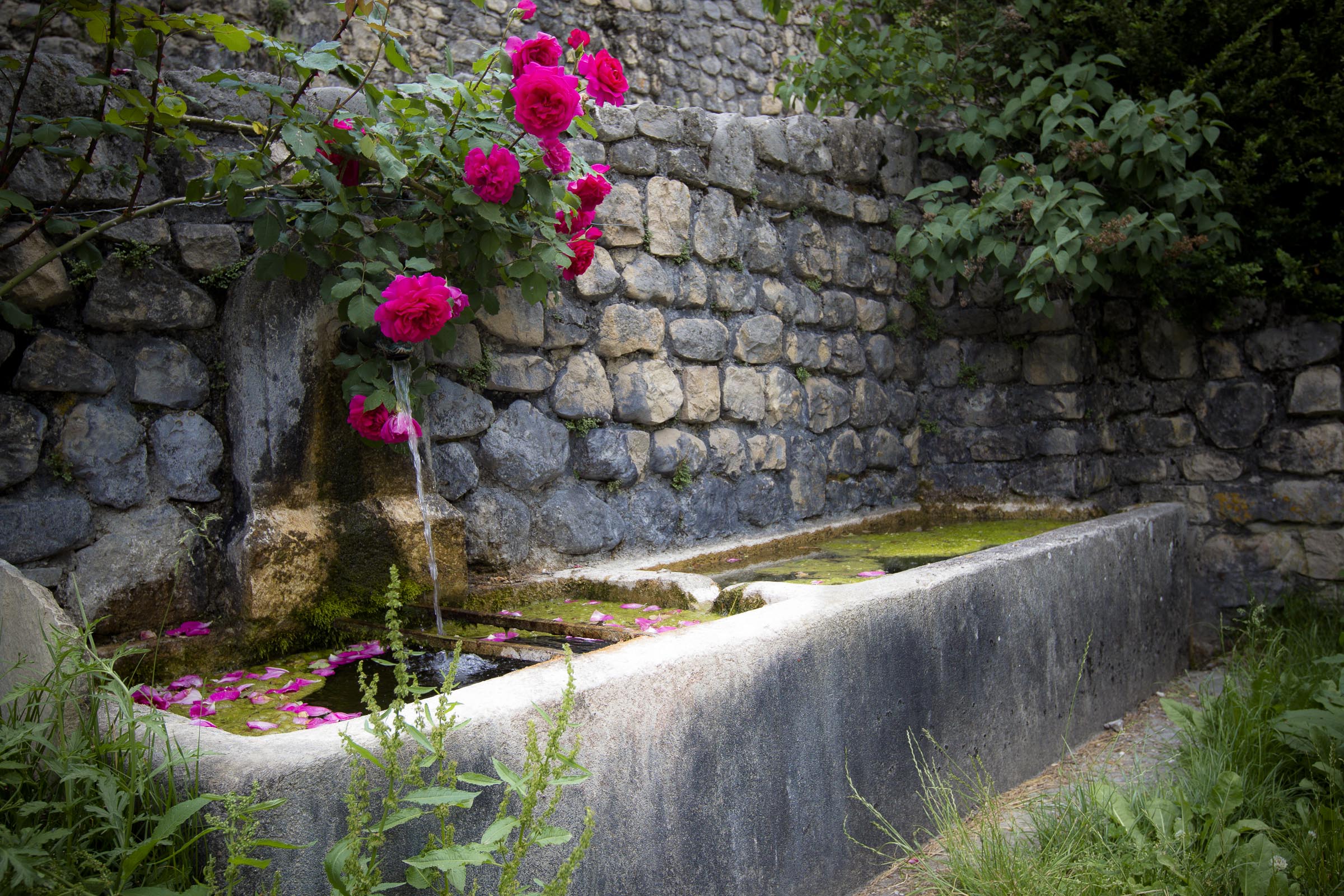 Fontaine Archiane