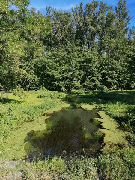 2021.06.12 - La Voulte (Printegarde) 2