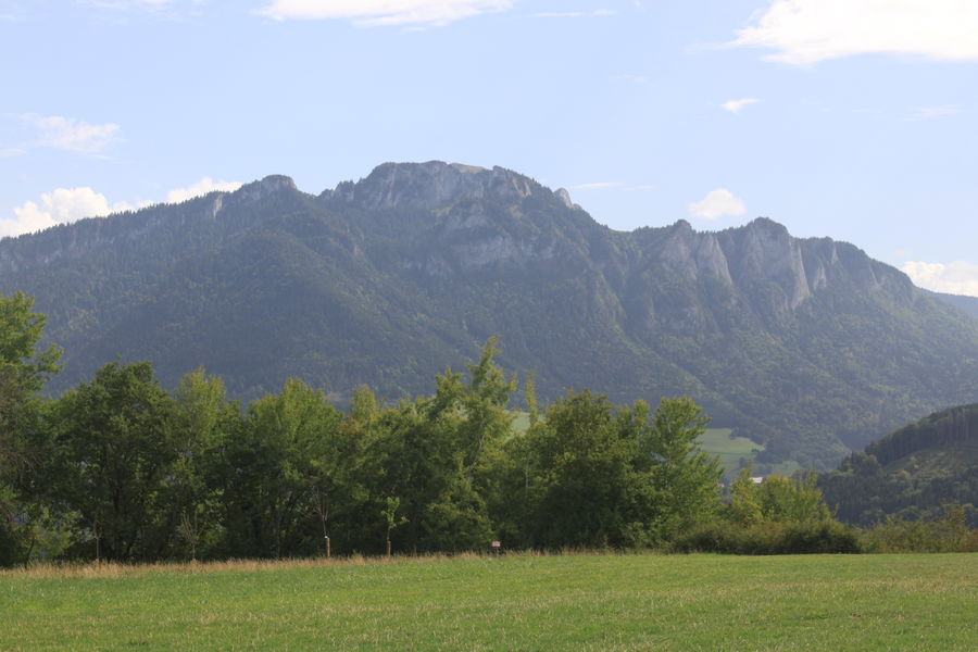 Boucle du tilleul et de la pierre à cupules