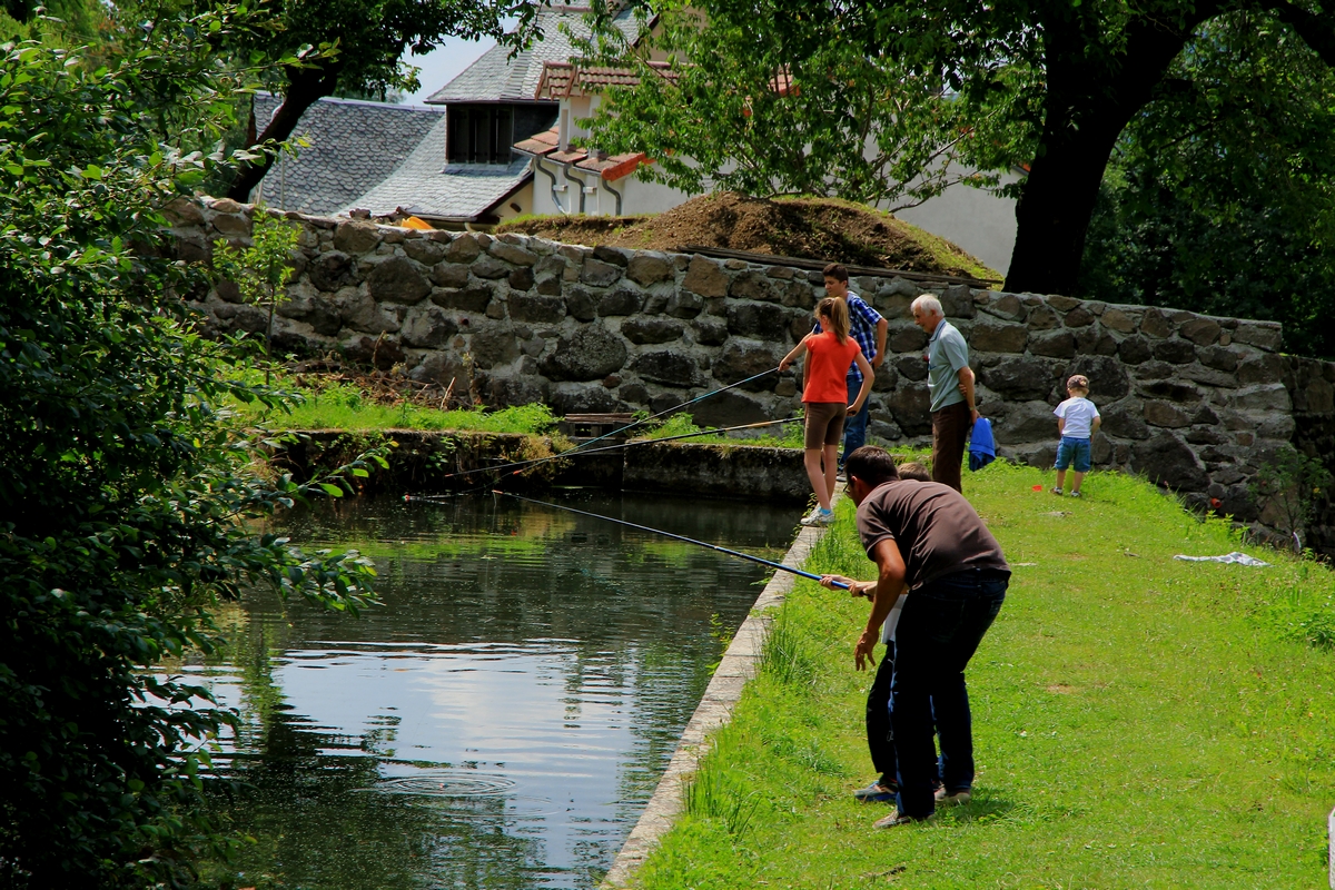 GAEC des Etangs de Marfon - Trout farm and fishing