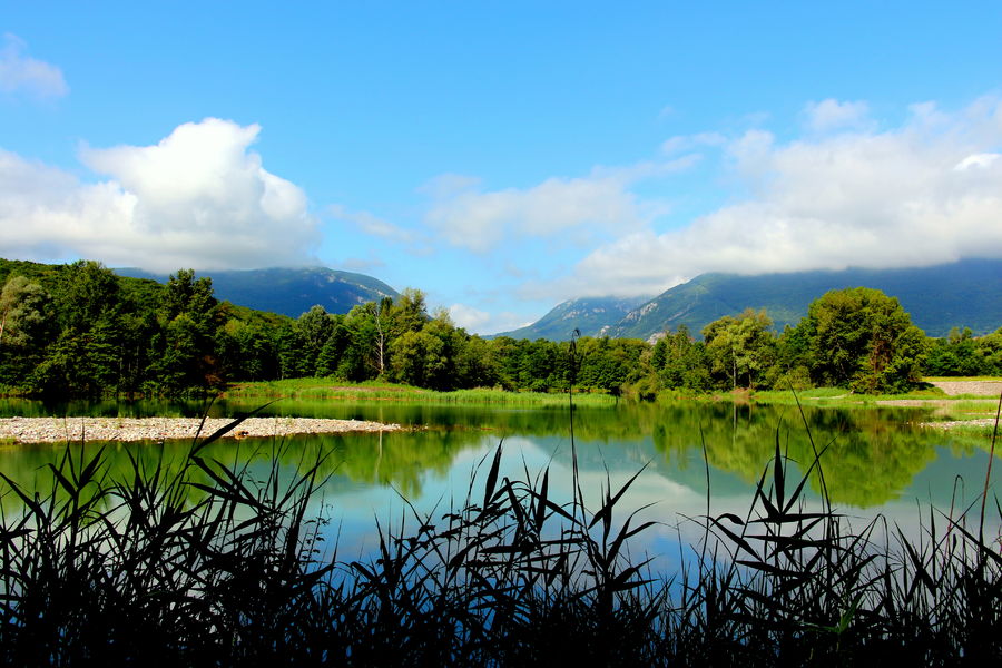 Marais de l'Etournel