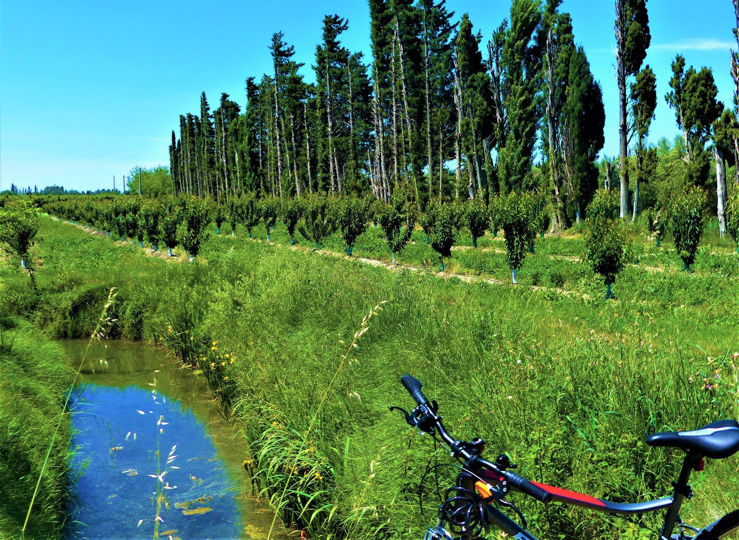 TARASCON - La campagne provençale à vélo — photo 3
