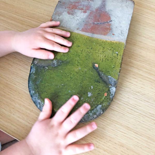 Visite pour les tout-petits : 