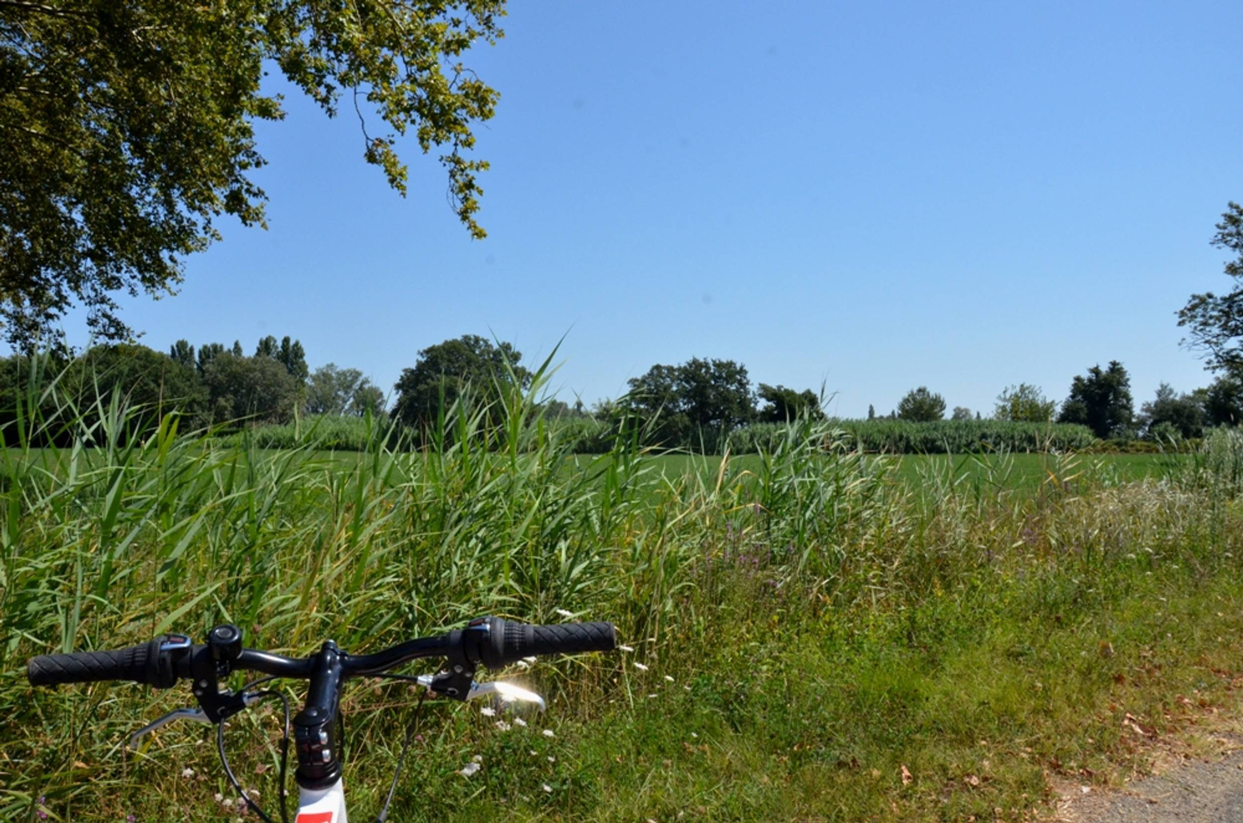 ARLES - De la Crau aux Marais du Vigueirat à vélo — photo 2