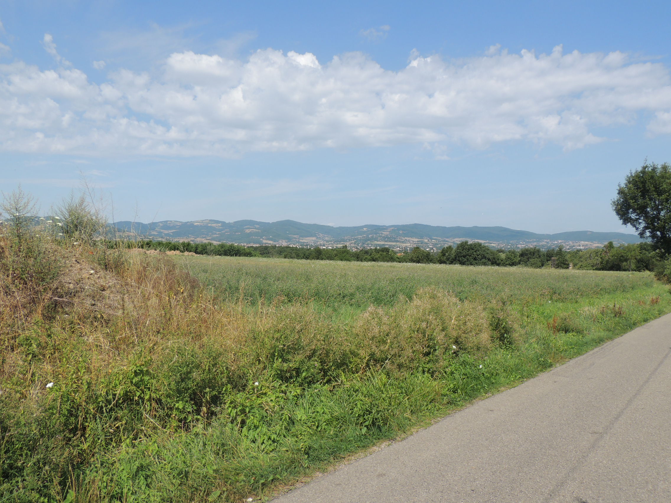 Paysage