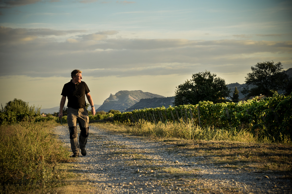 Les vignes