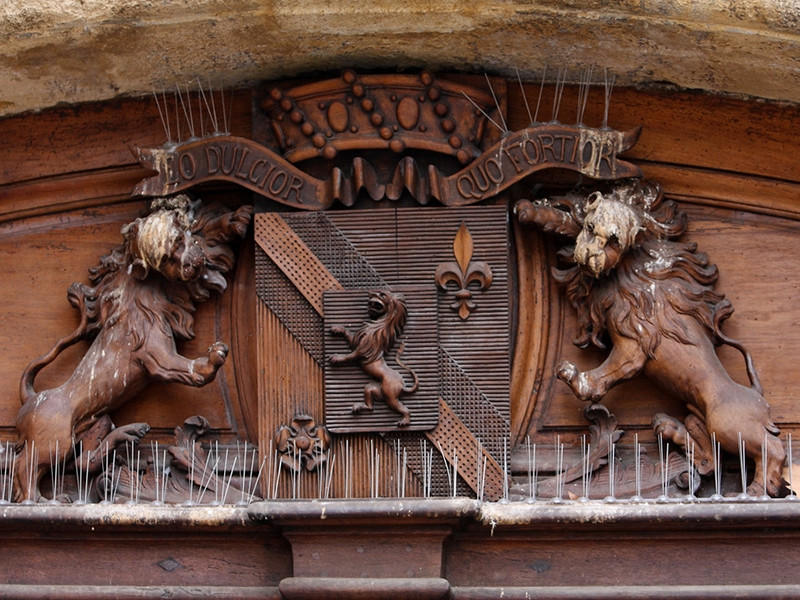 Hôtel Boyer de Fonscolombe — photo 2