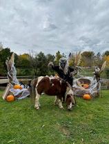 Halloween à la ferme de Bozzi