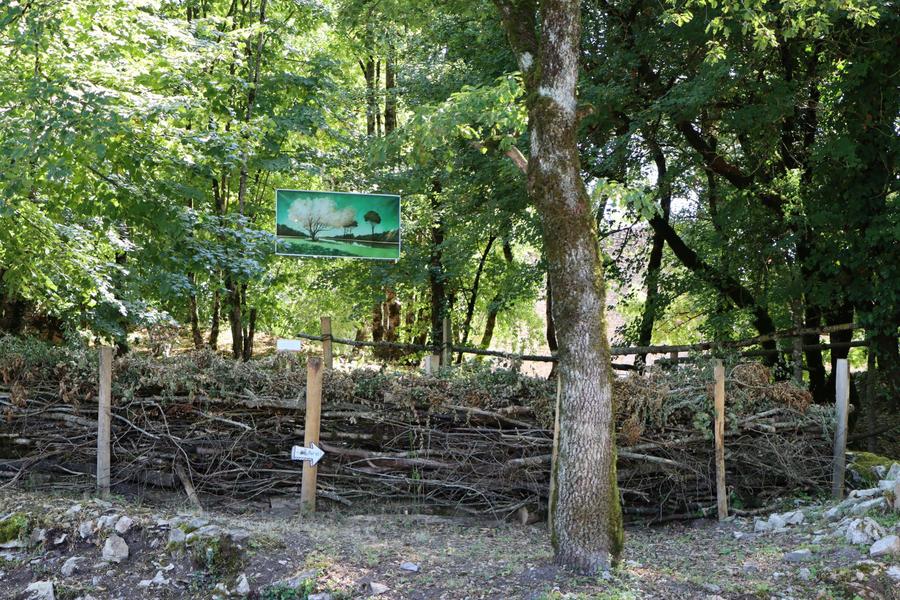 Exposition : Jacominus Gainsborough de Rebecca Dautremer s’installe en résidence dans la cité de Quirieu_Bouvesse-Quirieu