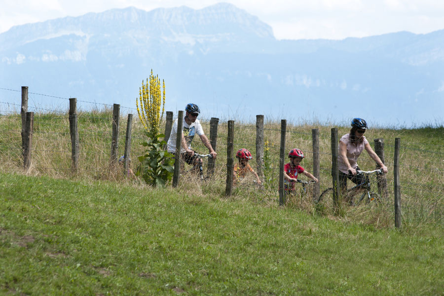 Vue de la Sure sylve bénite VTT